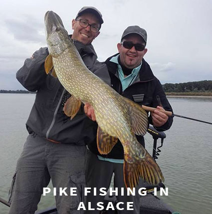 Pike fishing in Alsace